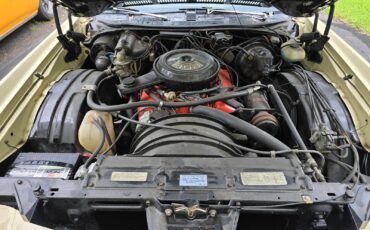 Chevrolet-Monte-Carlo-1974-Coupe-9