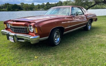 Chevrolet-Monte-Carlo-1975-18
