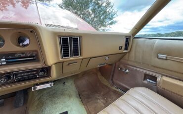 Chevrolet-Monte-Carlo-1975-8