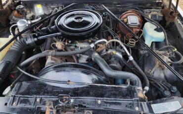 Chevrolet-Monte-Carlo-1978-2-dr-24
