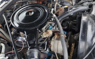 Chevrolet-Monte-Carlo-1978-2-dr-26