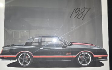Chevrolet-Monte-Carlo-1987-11