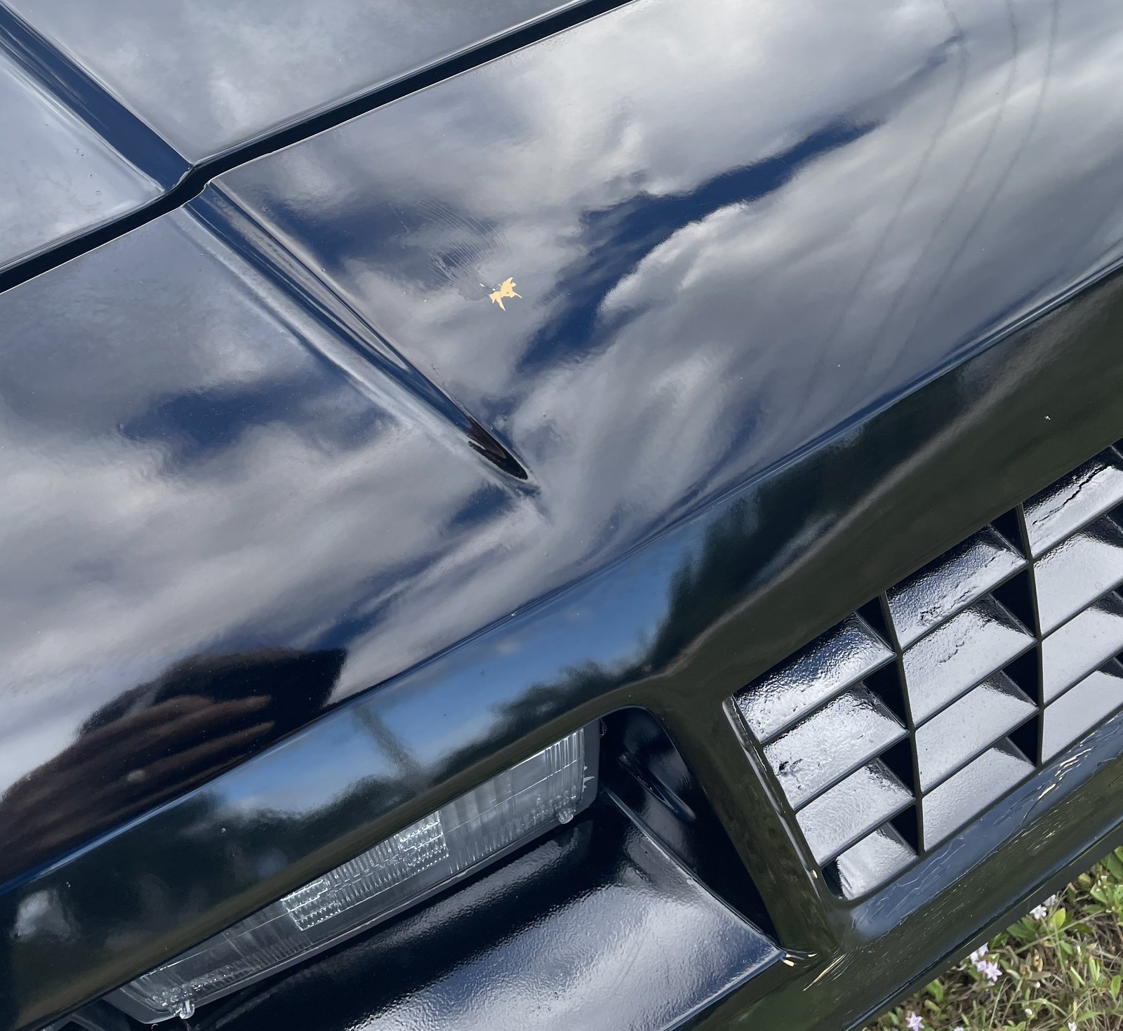 Chevrolet-Monte-Carlo-1988-Coupe-17