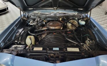 Chevrolet-Monte-Carlo-Coupe-1973-15
