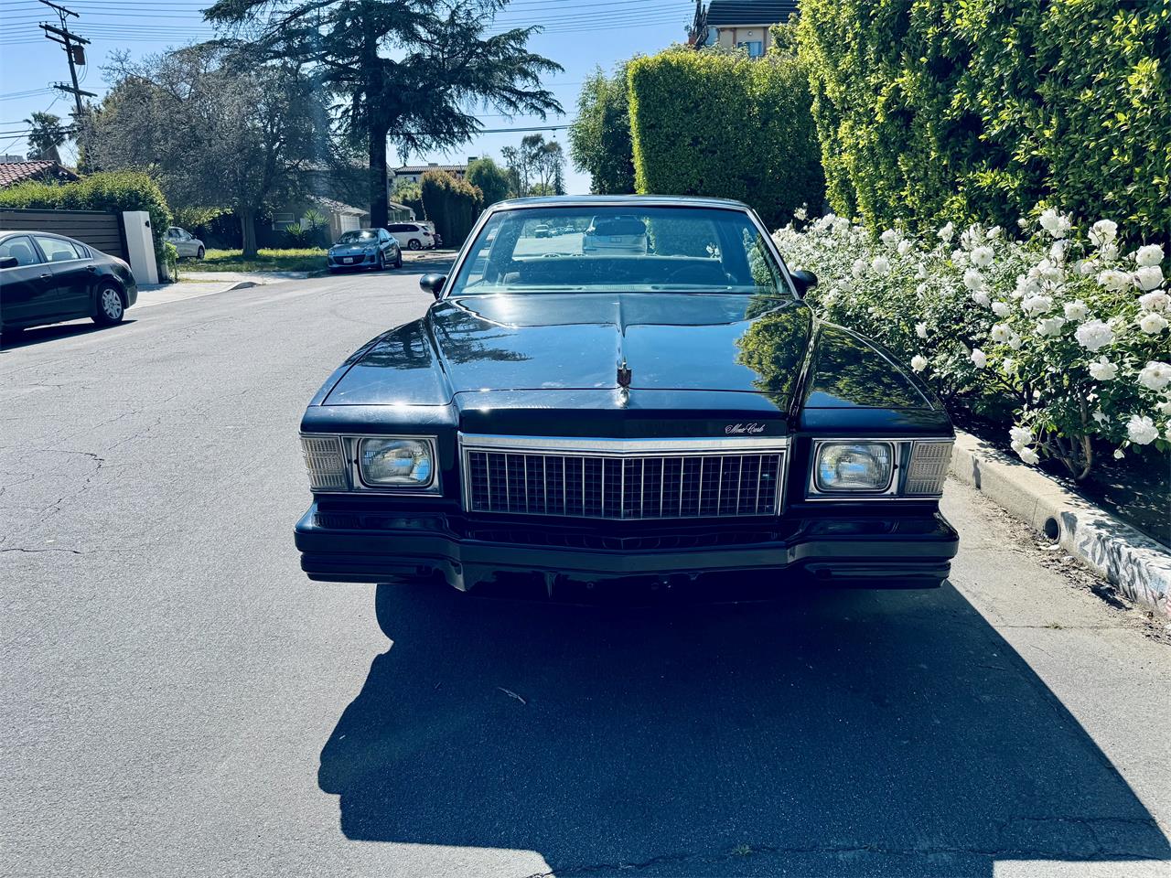 Chevrolet-Monte-carlo-1979-Black-Grey-18