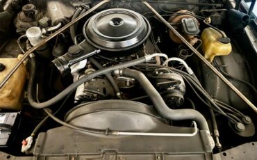 Chevrolet-Monte-carlo-1979-Black-Grey-6
