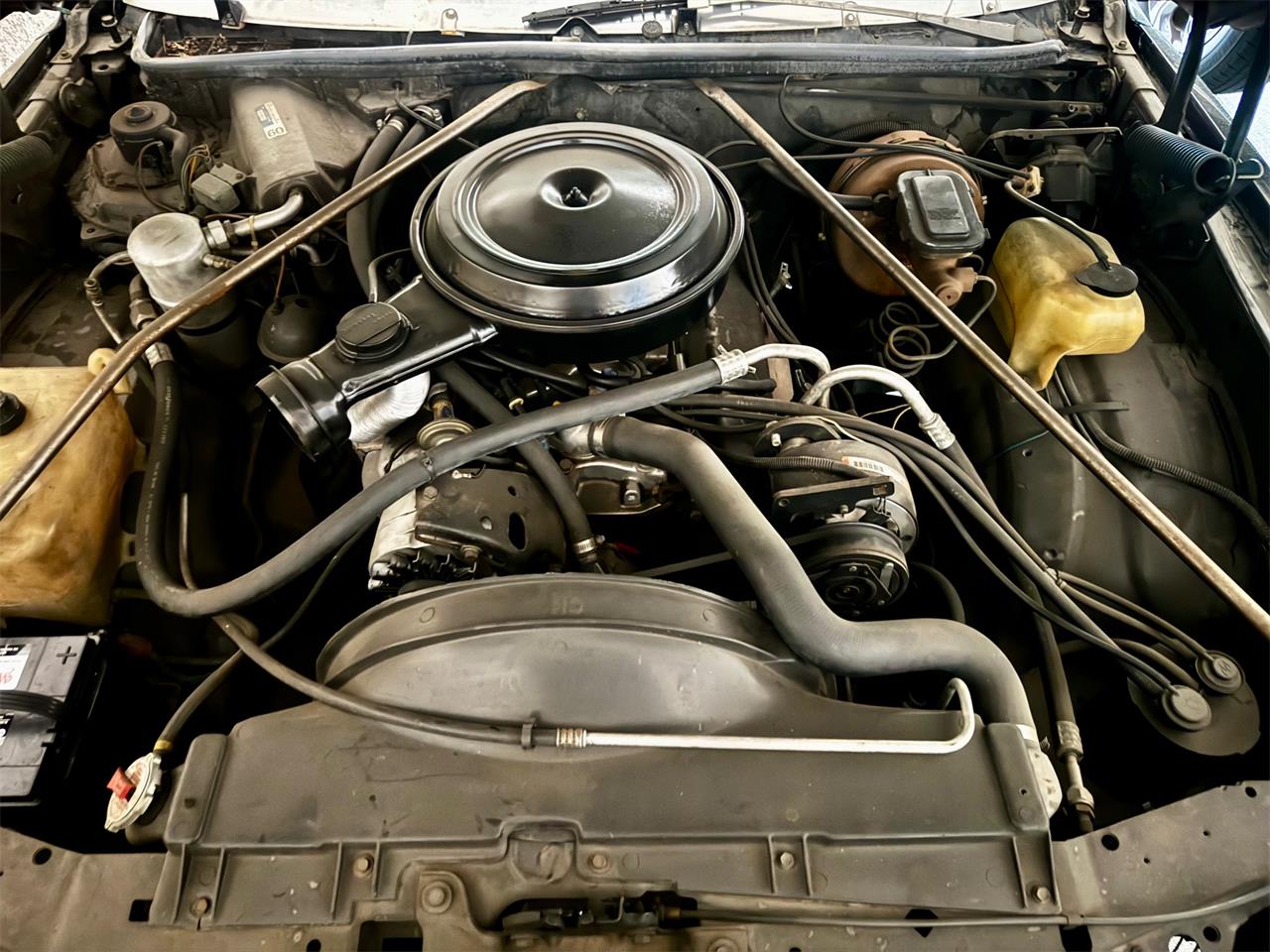 Chevrolet-Monte-carlo-1979-Black-Grey-6