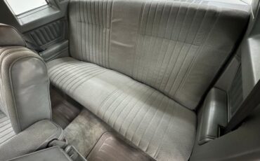 Chevrolet-Monte-carlo-1983-Pebble-Gray-Metallic-Gray-31