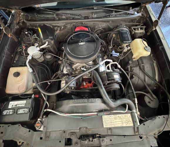 Chevrolet-Monte-carlo-1985-Black-6