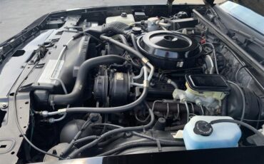 Chevrolet-Monte-carlo-ss-aerocoupe-1987-Black-Burgandy-8