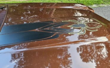 Chevrolet-Monza-1977-10