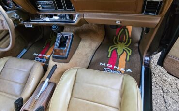 Chevrolet-Monza-1977-12