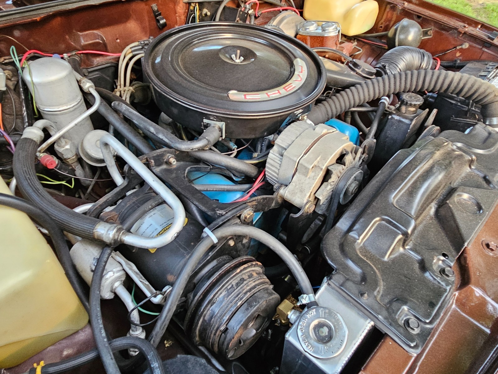 Chevrolet-Monza-1977-18