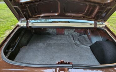 Chevrolet-Monza-1977-19