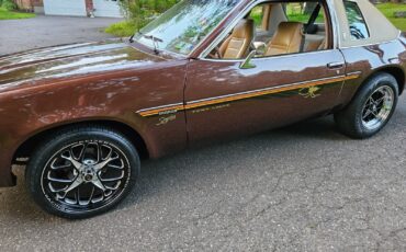 Chevrolet-Monza-1977-20