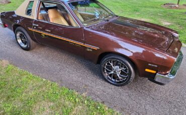 Chevrolet-Monza-1977-22