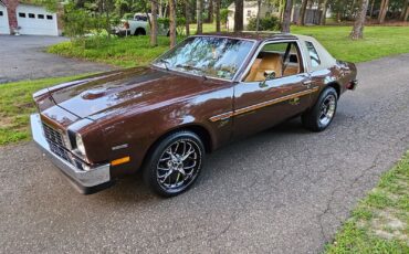 Chevrolet-Monza-1977-23