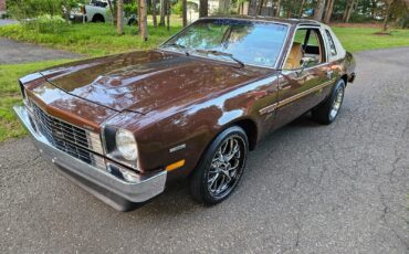 Chevrolet-Monza-1977-3