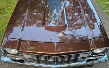 Chevrolet-Monza-1977-4