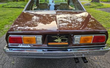Chevrolet-Monza-1977-6