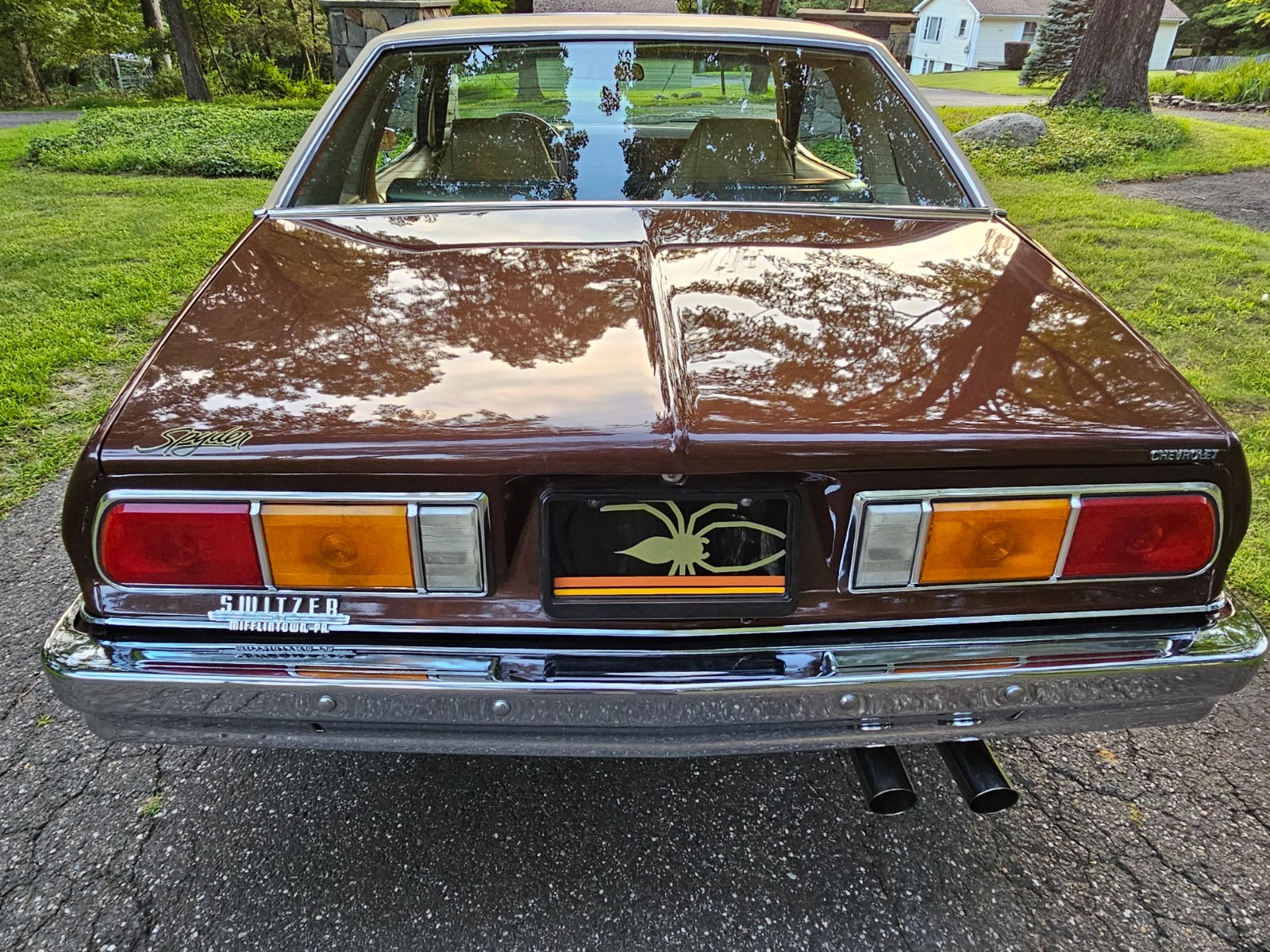 Chevrolet-Monza-1977-6