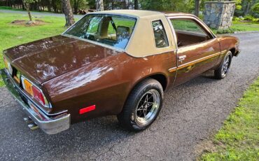 Chevrolet-Monza-1977-7