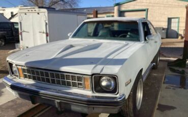 Chevrolet-Nova-1976-Gray-19