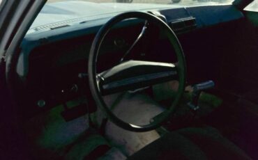Chevrolet-Nova-1976-Gray-6