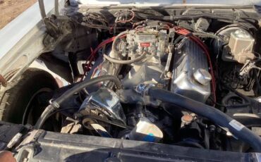 Chevrolet-Nova-1976-Gray-8