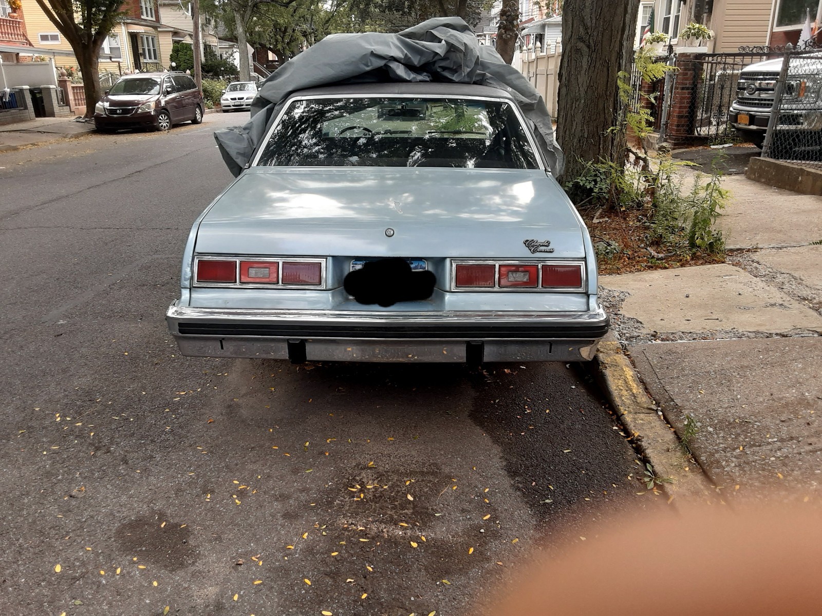 Chevrolet-Nova-1977-1