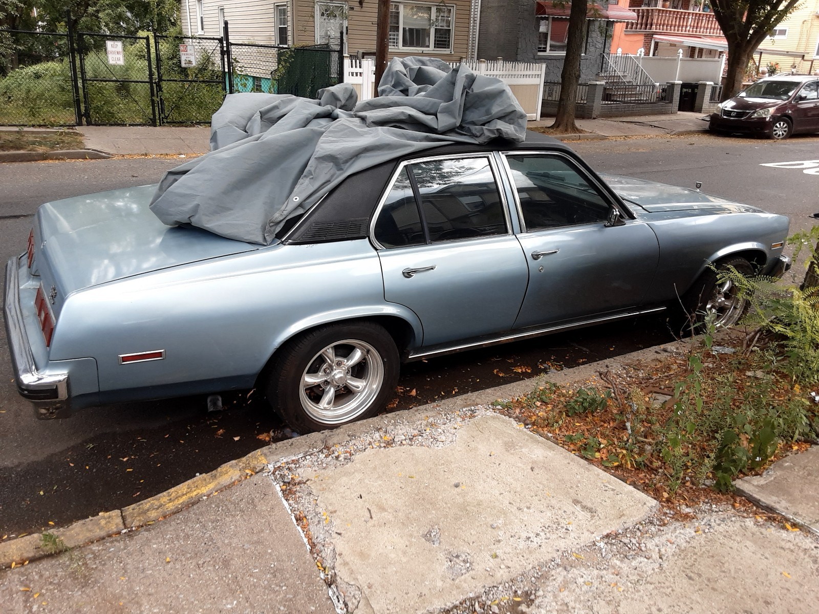 Chevrolet-Nova-1977-3