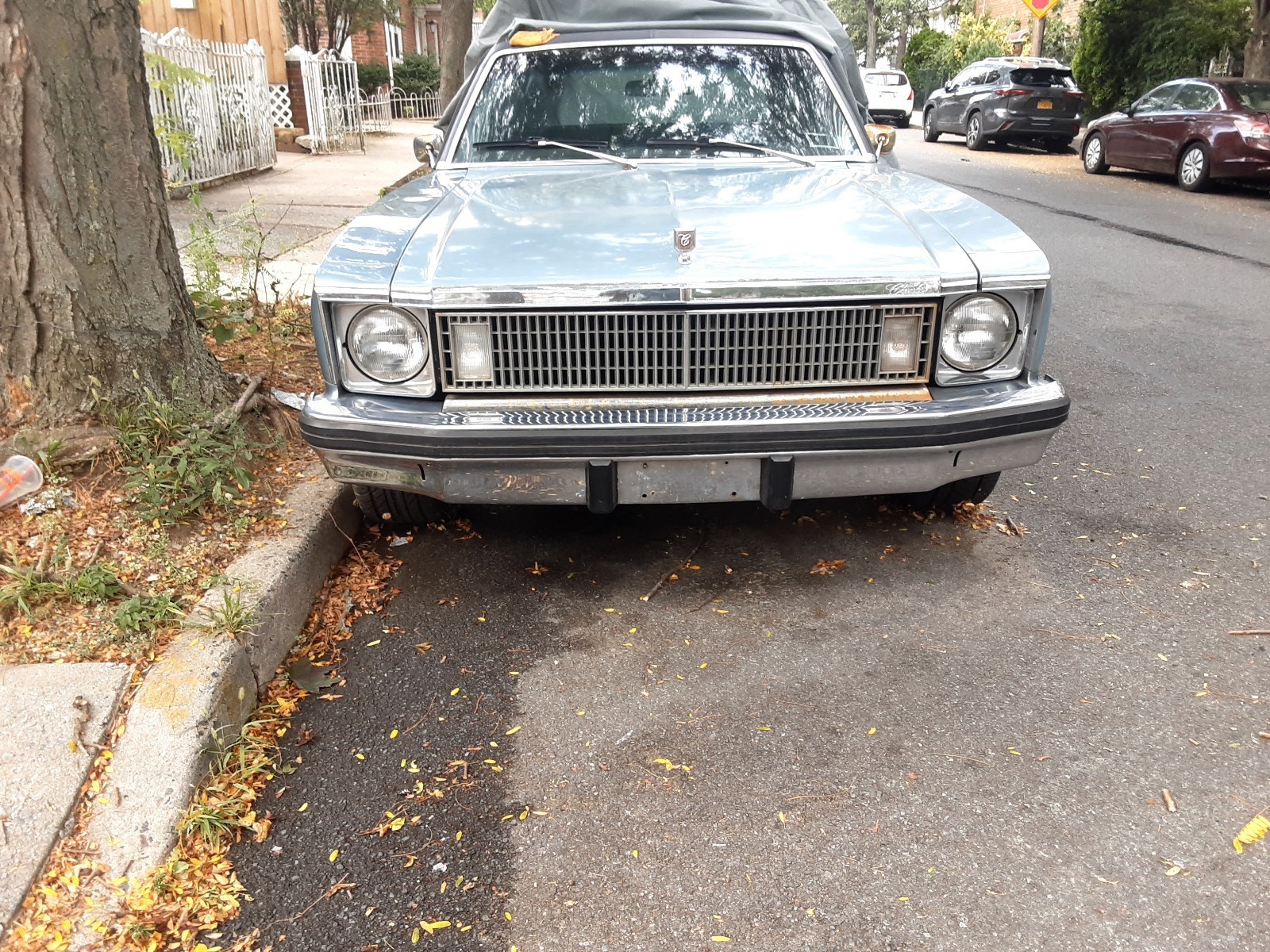 Chevrolet Nova 1977