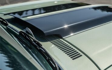 Chevrolet-Nova-ss-1969-Grecian-Green-Green-and-black-42