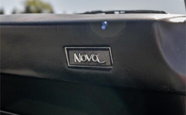 Chevrolet-Nova-ss-1969-Grecian-Green-Green-and-black-47