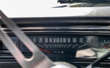 Chevrolet-Nova-ss-1969-Grecian-Green-Green-and-black-76