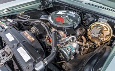 Chevrolet-Nova-ss-1969-Grecian-Green-Green-and-black-85