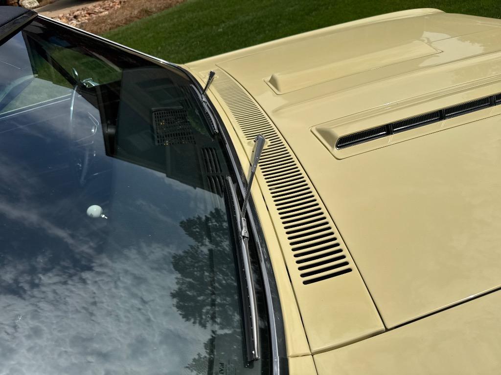 Chevrolet-Other-1966-Yellow-Black-7