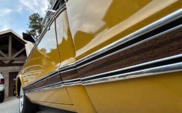 Chevrolet-Other-1972-Okra-White-40
