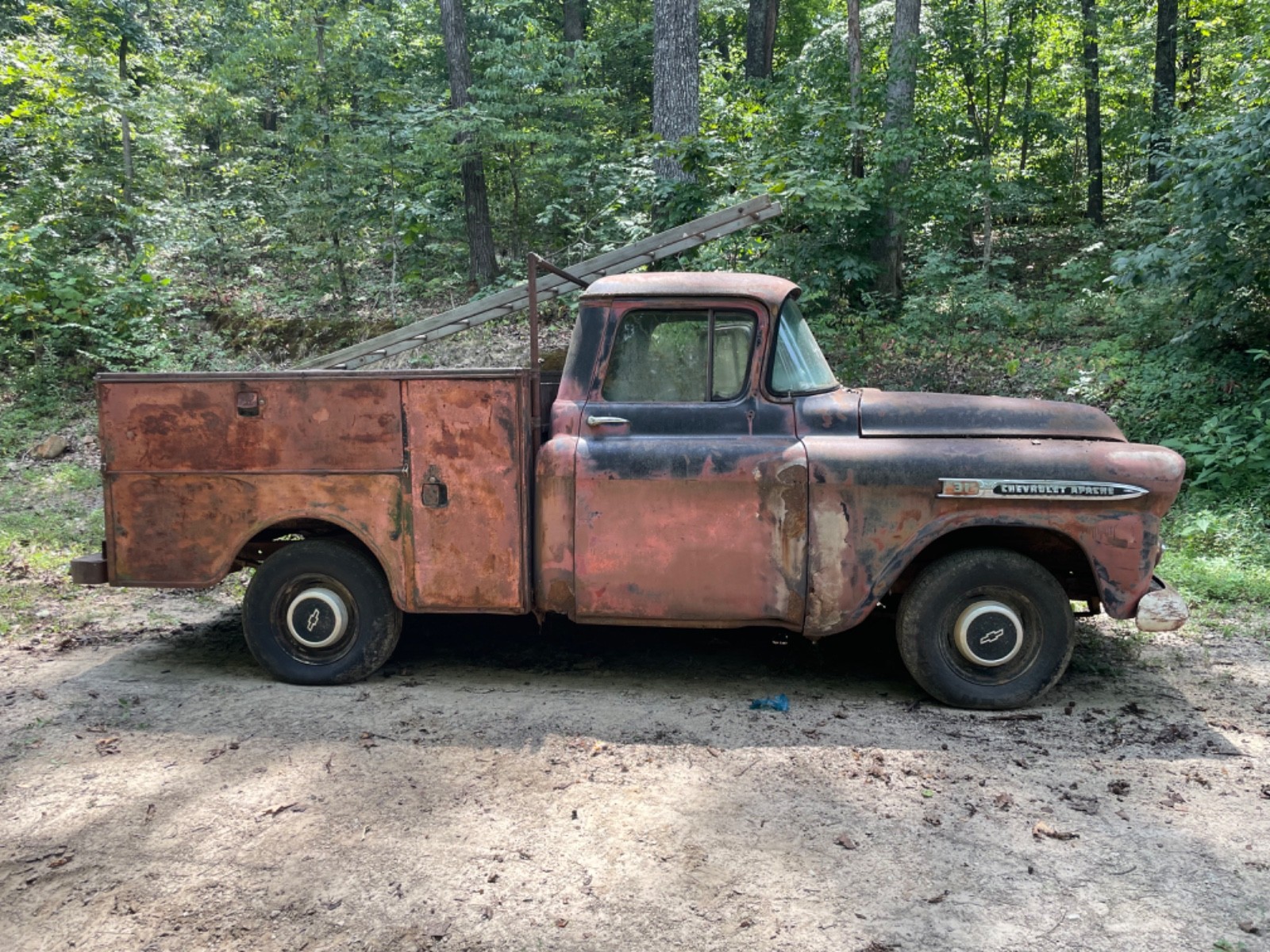 Chevrolet-Other-Pickups-1959-Standard-Cab-Pickup-3