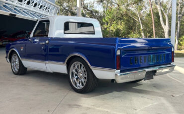 Chevrolet-Other-Pickups-1967-Pickup-Truck-7
