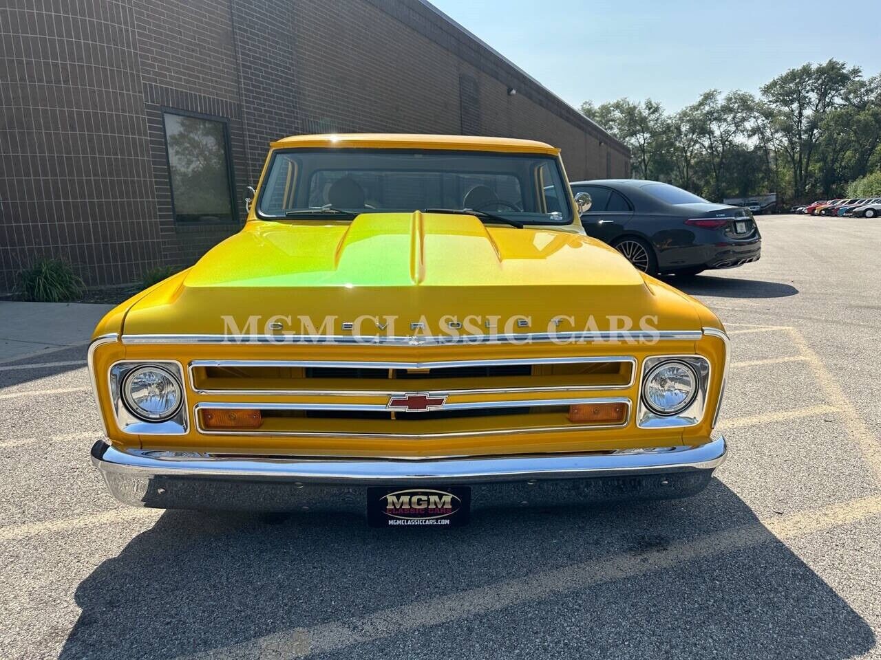 Chevrolet-Other-Pickups-1969-Pickup-Truck-9