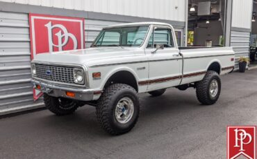 Chevrolet-Other-Pickups-1971-Pickup-38