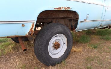 Chevrolet-Other-Pickups-1974-Standard-Cab-Pickup-17