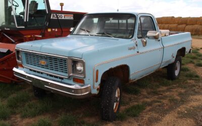 Chevrolet Other Pickups 1974 Standard Cab Pickup
