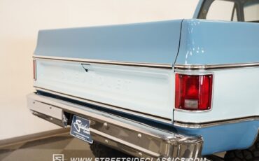 Chevrolet-Other-Pickups-1977-Pickup-Truck-11