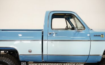 Chevrolet-Other-Pickups-1977-Pickup-Truck-14