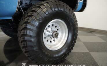 Chevrolet-Other-Pickups-1977-Pickup-Truck-16