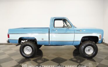 Chevrolet-Other-Pickups-1977-Pickup-Truck-17