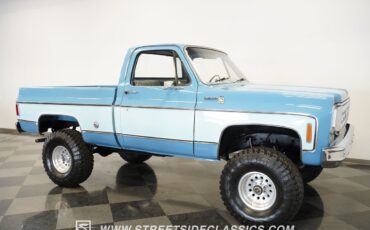 Chevrolet-Other-Pickups-1977-Pickup-Truck-19