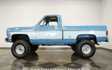 Chevrolet-Other-Pickups-1977-Pickup-Truck-2